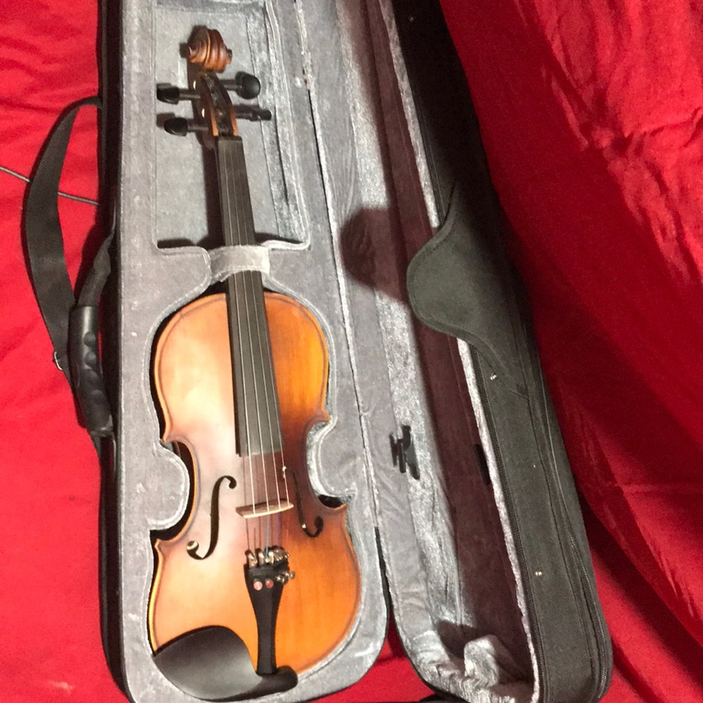 Violin